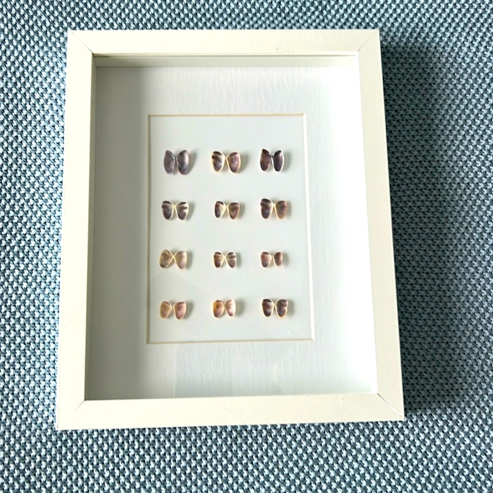 SEA SHELL ART